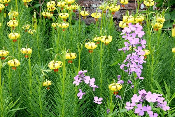 4. Flowers.jpg